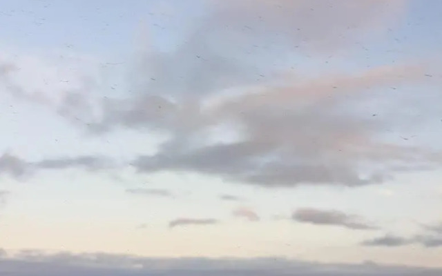 Cabaña Emilia Quinchen