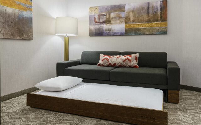 SpringHill Suites by Marriott Philadelphia West Chester/Exton