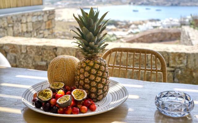 Nefeli Residence & Suite Ftelia Beach Mykonos