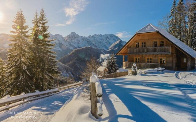 Holiday chalet "Alpine dreams"