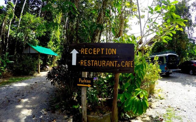 Morning Mist Resort