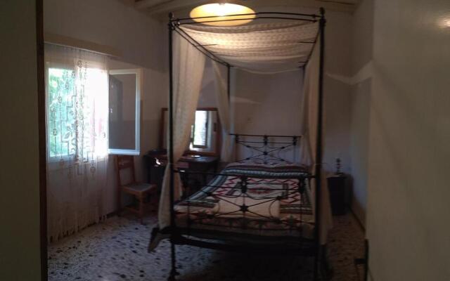 Almond trees house