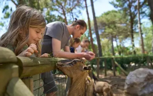 Camping Campo dei Fiori