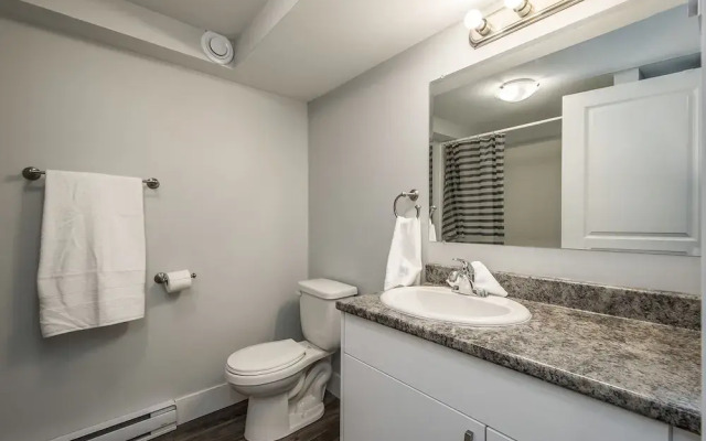Spacious DAL & Downtown Apartments