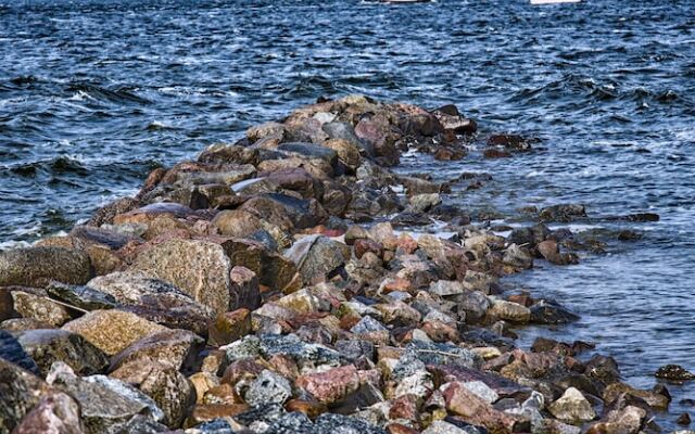 Ferienhaus Waldblick