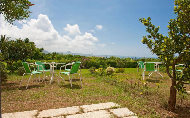 The Tree Bed and Breakfast