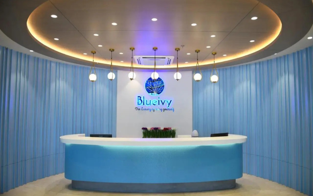 Hotel Blueivy
