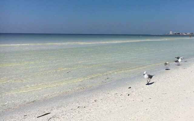 Nokomis Home Close to Beach