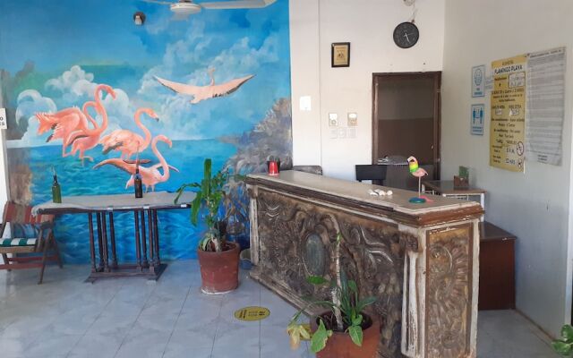 Flamingo Guest House Celestún
