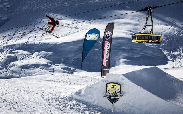 Platzhirsch Apart & Mayrhofen