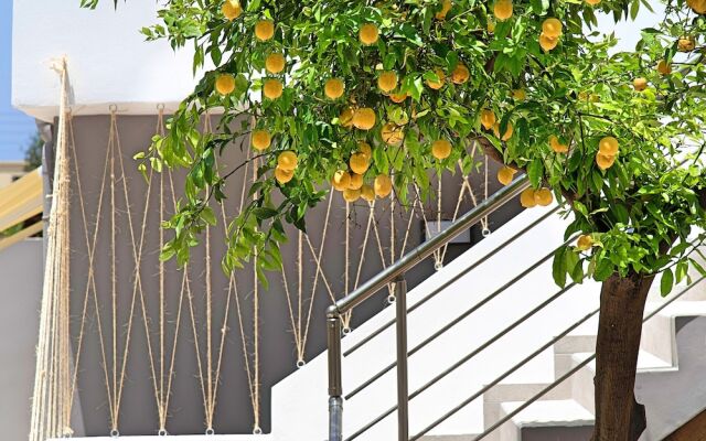 Chania Design Suites