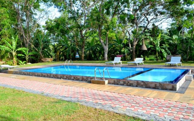 Birds Paradise Inn