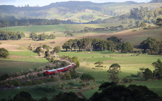 Pukeatua Farmstay