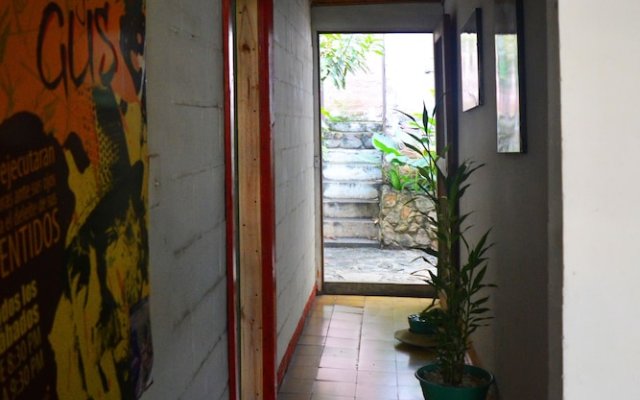The Green House Hostel