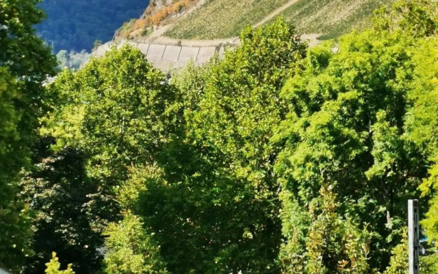 Rheinufer am Hindenburgpark