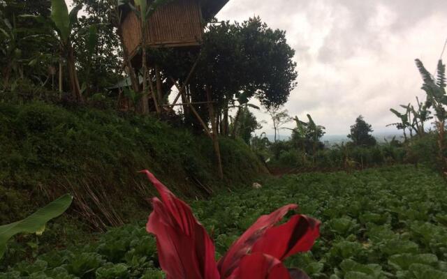Bali Tree House Pelangi