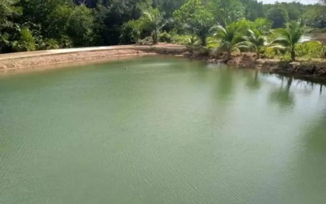 Taboo Bar-Risto Music Angel Bay Resort