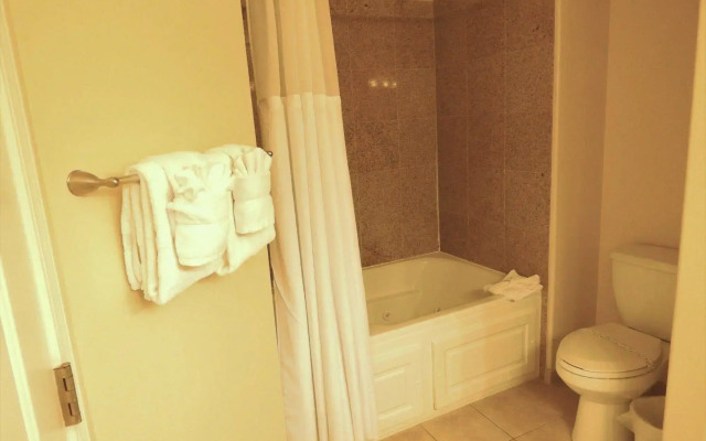 Lexington Vacations by Stark Hospitality