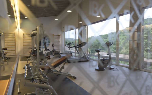 Iberik Hotel Balneari Rocallaura