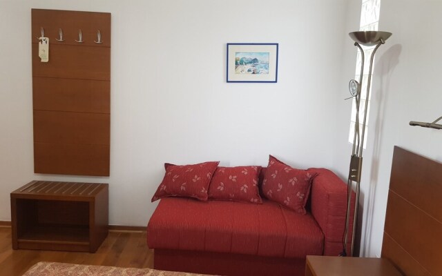Hotel Paun