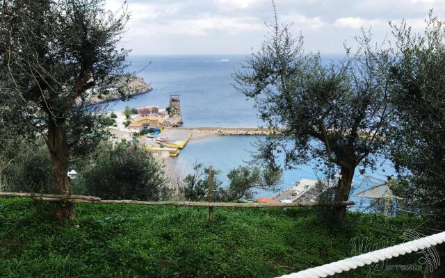 Maison del Mare Sorrento Sea View