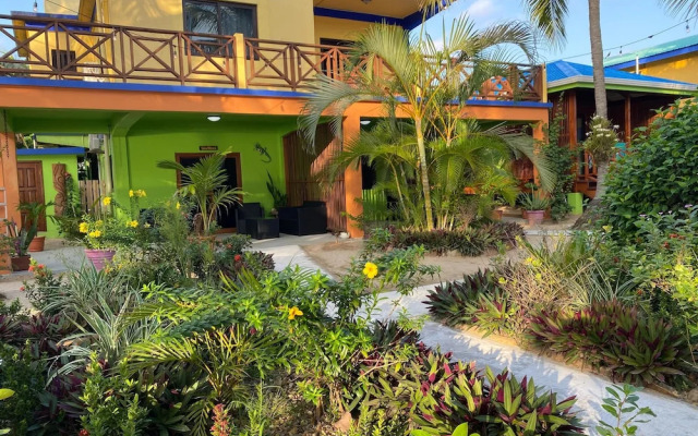 Coconut Row
