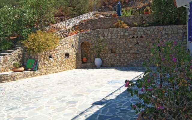 The Olive Tree II