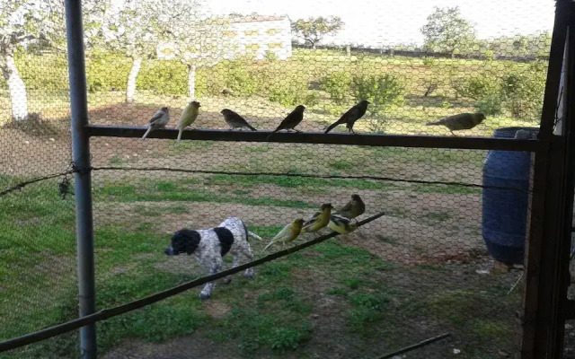 Casa Rural la Vallejera
