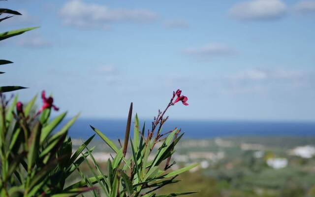 Peaceful Holiday Home in Agia Triada With Swimming Pool