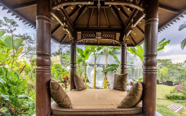 Bubble Hotel Bali Ubud - Glamping