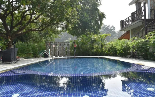 Tree of Life Vanvilas Riveredge