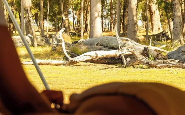 Willow Wood Glamping Retreat