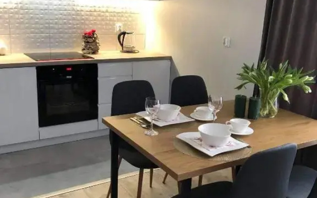 Apartament Stare Miasto