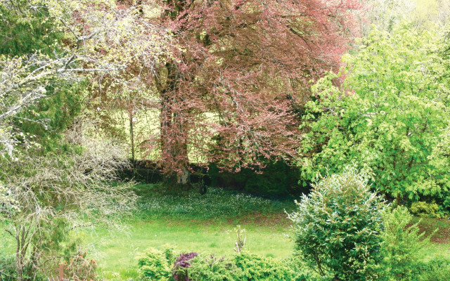Afon Rhaiadr Country House