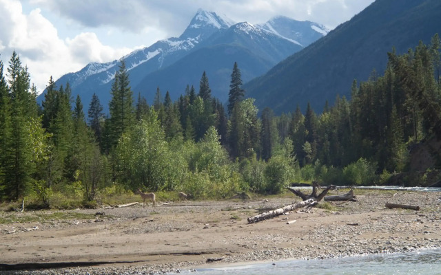 Panorama Vacation Retreat at Horsethief Lodge