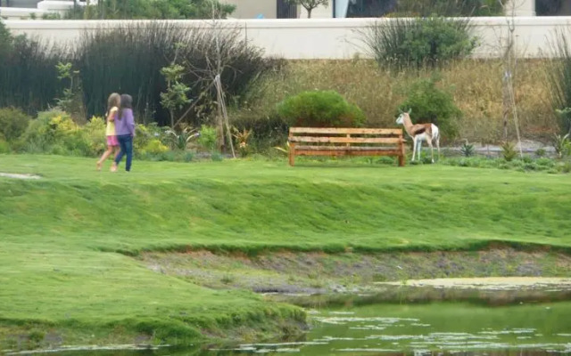 Tranquility Base Luxury Guest House