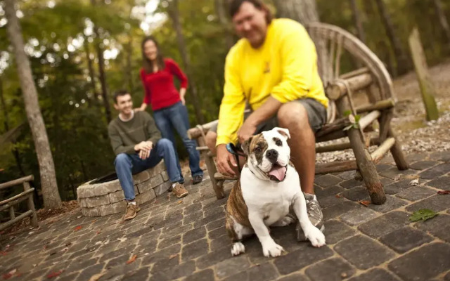 Williamsburg Campground