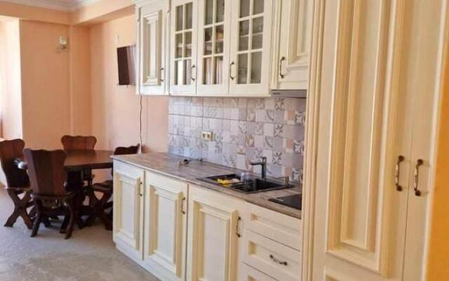 Bakuriani Mix 1 Room Apartment / Studio