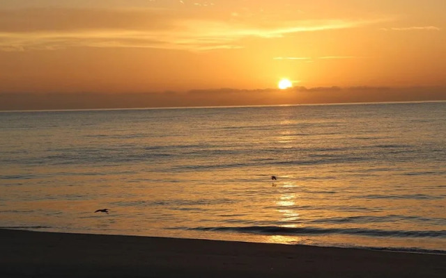 Las Sirenas de Santa Clara