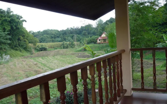 Suancha Tea Garden