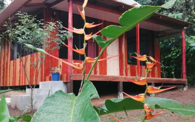 The Sunset Tucano Lodge