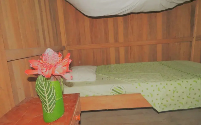 Tambopata Guest House