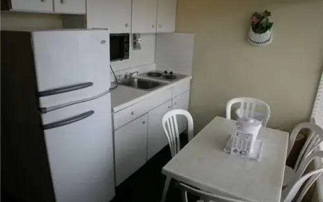 American Safari Motel