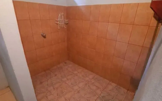 corcovado green parrot