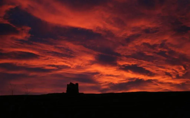 The Cottage Abbotsbury