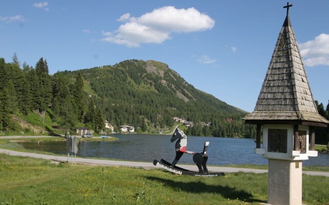 Exclusive Chalet in Styria With Swimming Pool