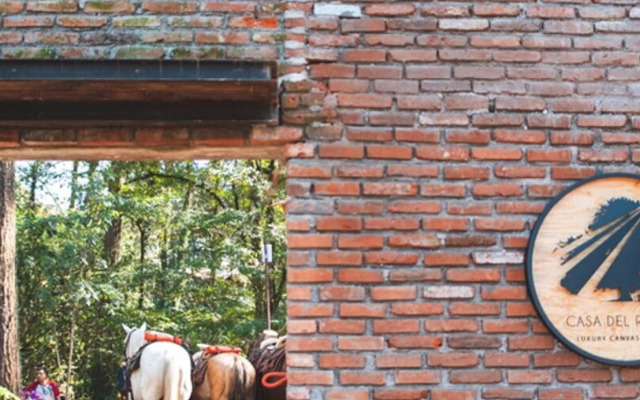 Pistache Incredible Lodge in the Forest With Private Jacuzzi