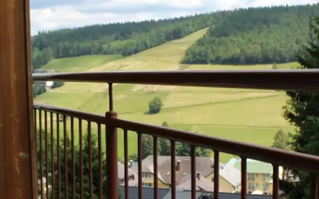 Panoramahotel Sonnenalm Hochschwarzwald