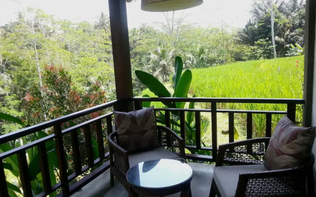 Villa Amrita