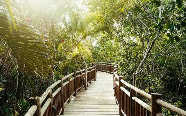 Grand Maya by Dicasi RM